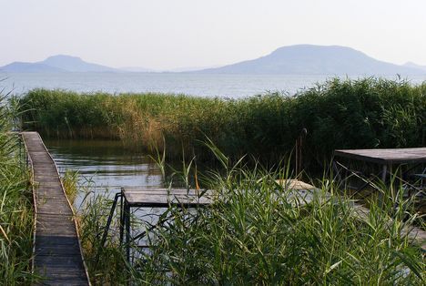Zajácz D. Zoltán: Véres Balaton