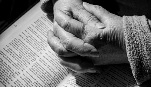 Cserháti Éva: Zarándoklat a halálba – A K.É.Z. harmadik esete