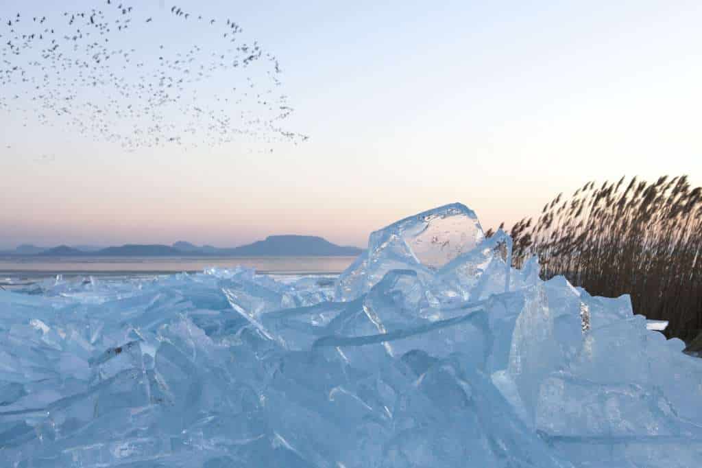 Zajácz D. Zoltán: Dermesztő Balaton